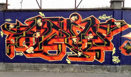 Airone - Art On The Stadio - Varese 2013